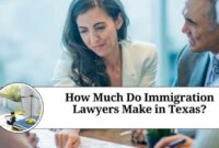 Immigration lawyer texas