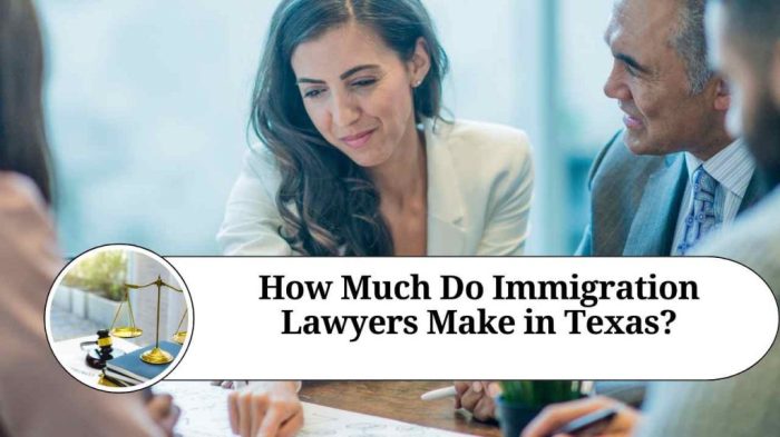 Immigration lawyer texas