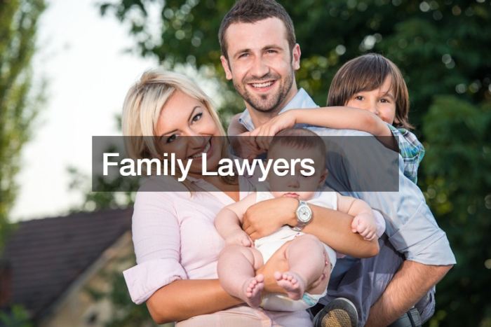 How much is a family lawyer