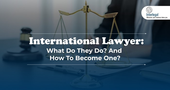 International trade lawyer