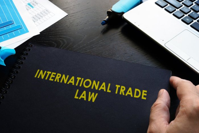 International trade lawyer