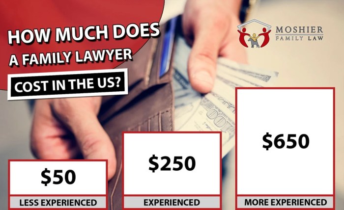 Family lawyer lawyers toronto much make salary stats does here