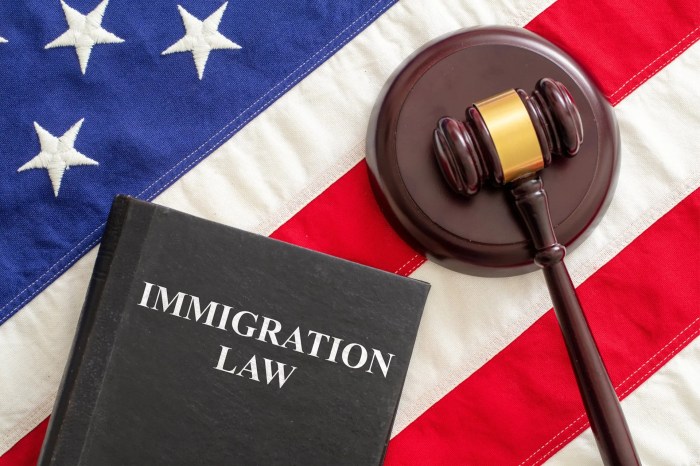 Immigration lawyer arlington tx