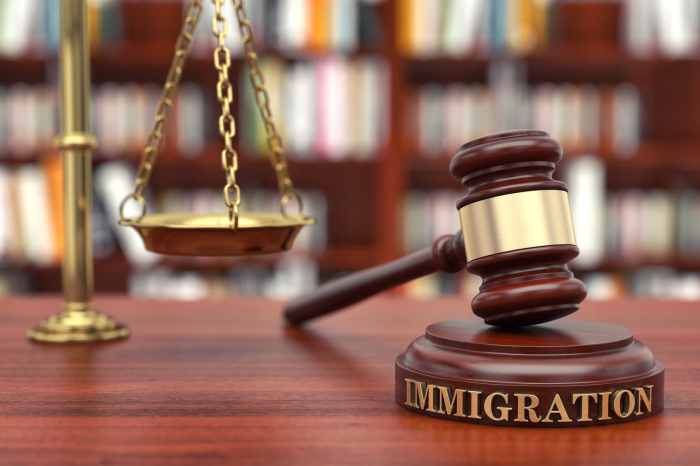 Immigration lawyer texas