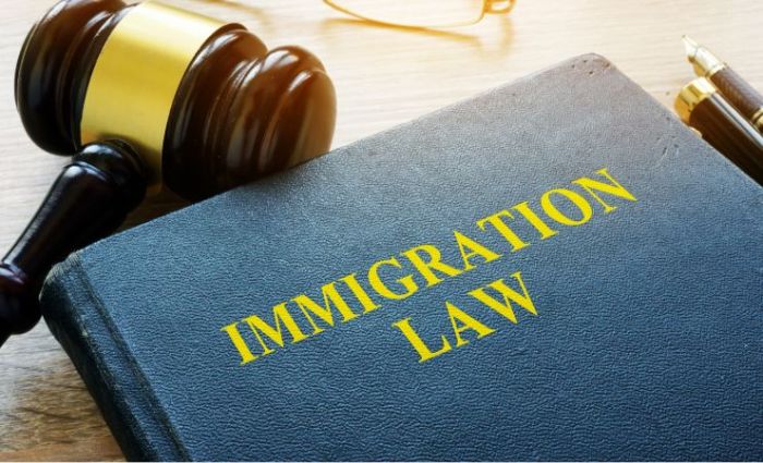 Immigration lawyer fort myers